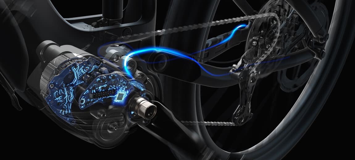 Auto shift bike internals