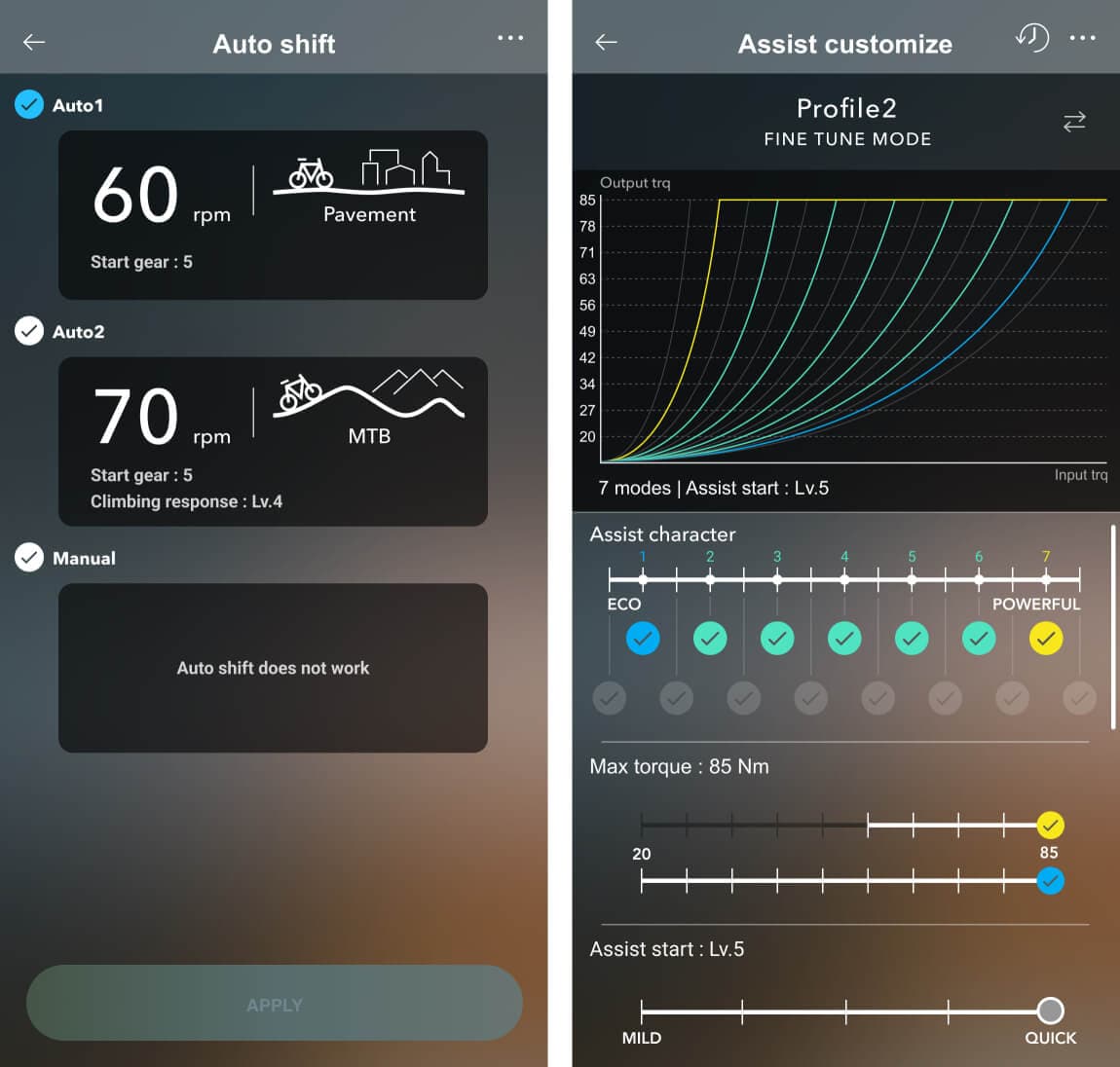 Auto shift settings for eMTB